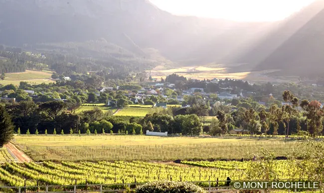 Ein Tal mit grünen Weinbergen und strahlender Sonne