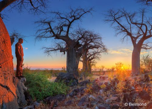 Luxus-Reise: Botswana-Safari & Kapstadt