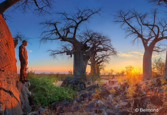 Luxus-Reise: Botswana-Safari & Kapstadt