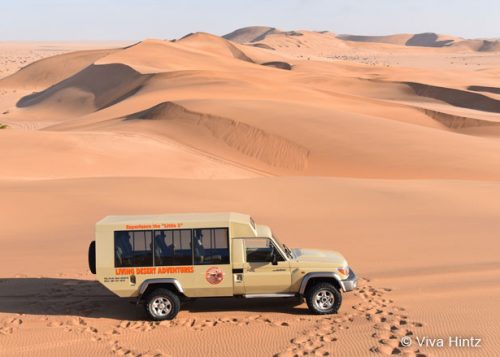 Namibia: Familiensafari für Groß und Klein