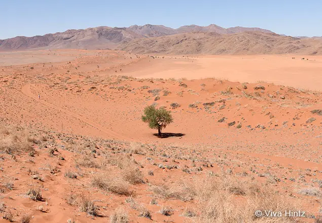 Namibia