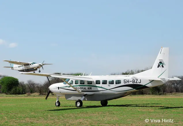 Zwei weiße Sportflugzeuge auf einer grünen Wiese