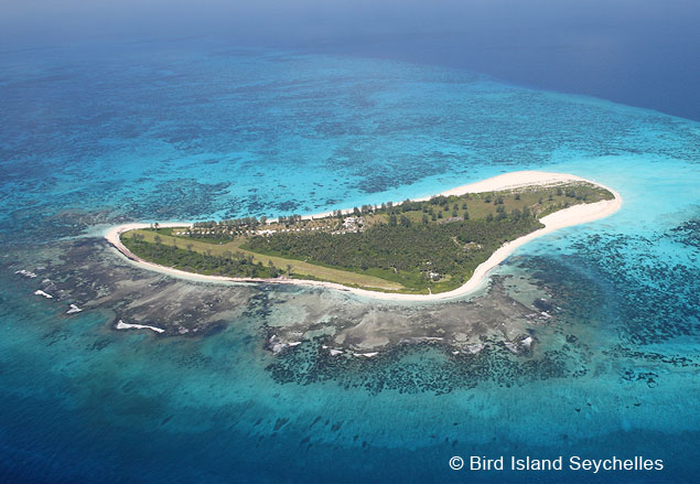 Bird Island Seychelles