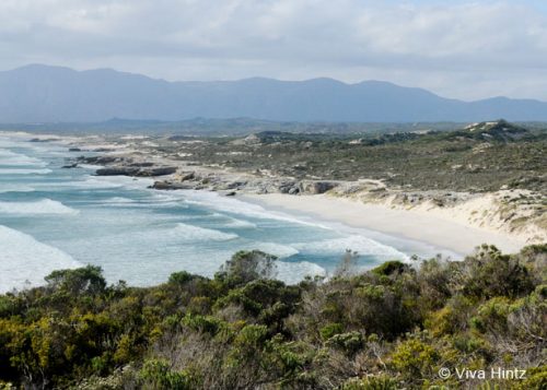 Südafrika Strand mit Meer und Berglandschaft
