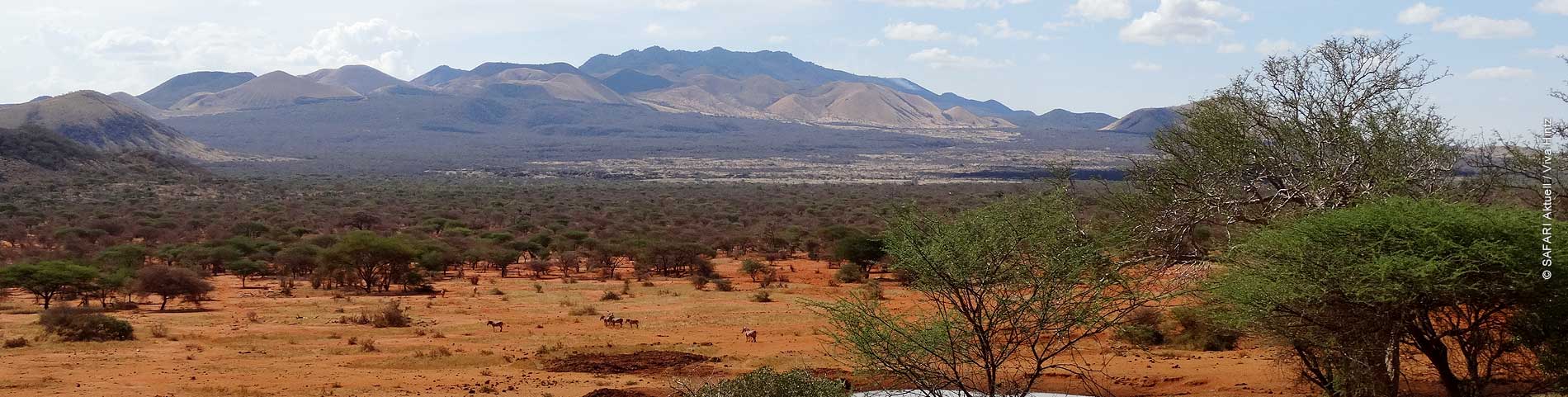 Orange roter Boden mit kargen Büschen im Hintergrund Berglandschaft