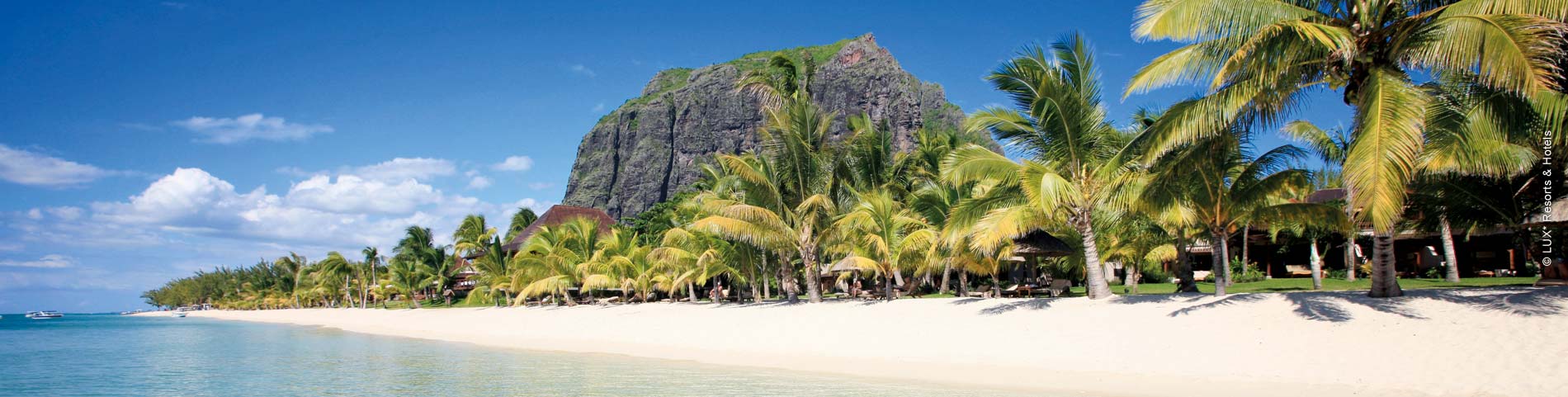 Kleiner Felsberg umringt von Palmen auf einem Sandstrand