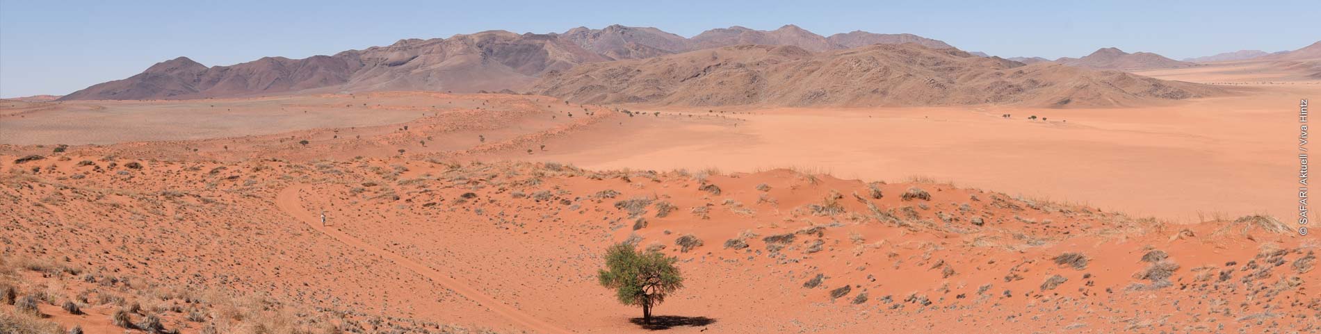 Orange rote Wüste mit Berglandschaft im Hintergrund