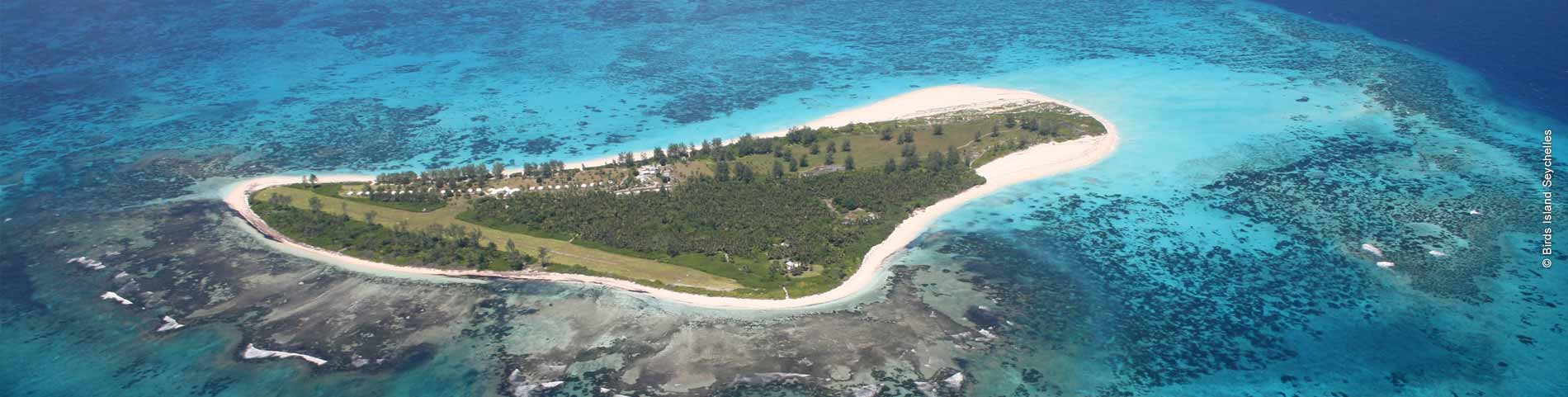 Kleine grüne Insel mit Stand im azurblauen Meer
