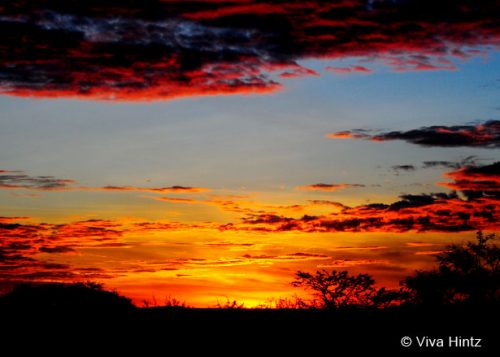Safari Ngorongoro, Serengeti & unberührter Süden