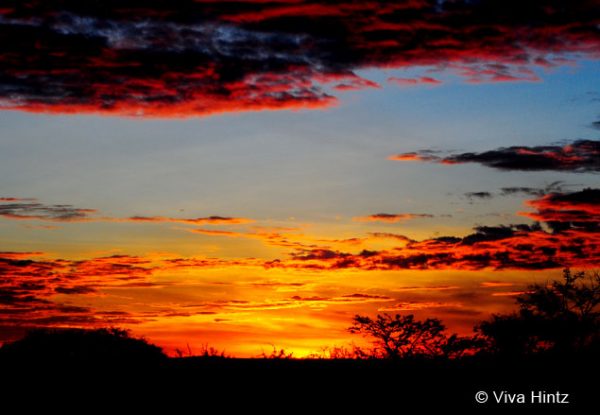 sonnenuntergang tansania titel