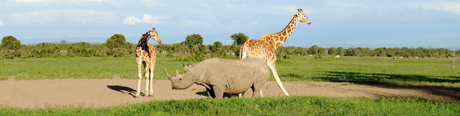 Ol Pejeta Schutzgebiet © Viva Hintz
