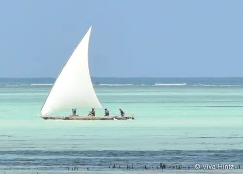 Next Paradise Boutique Resort