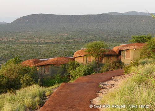 Kenia-Safari exklusiv: Authentischer Norden & Massai Mara