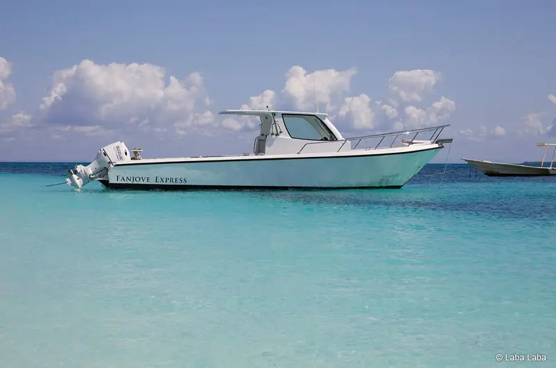 Laba Fanjove - Transferboot