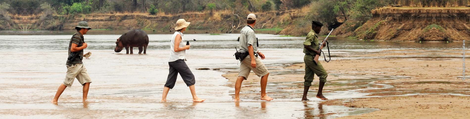 Vier Personen überqueren einen Fluss und dahinter steht ein Nilpferd