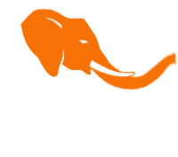 safari_aktuell_animation-kleiner-langsamer-compressed